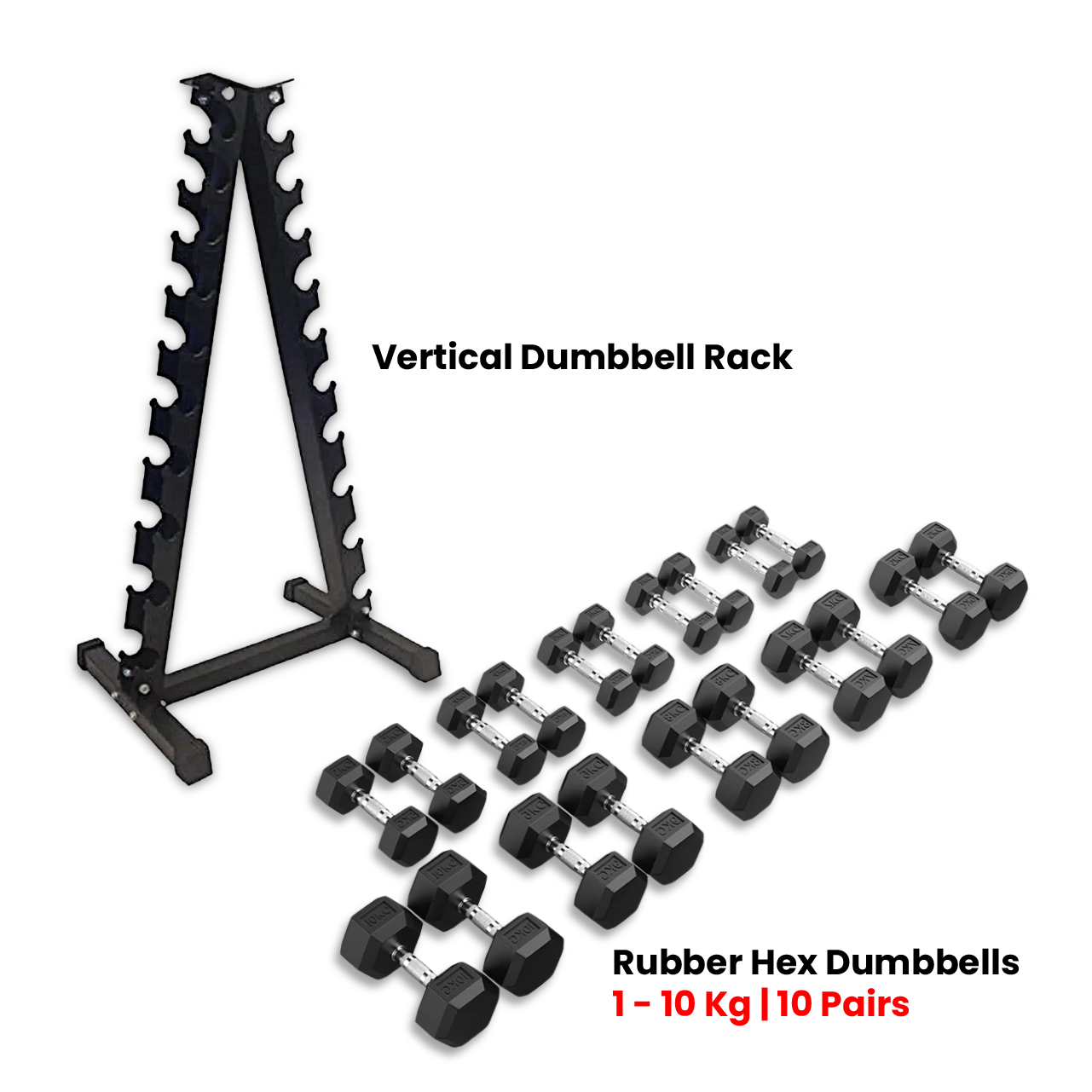 1441 Fitness Hex Dumbbells Set 1 Kg to 10 Kg with Vertical Rack - Bundle Offer