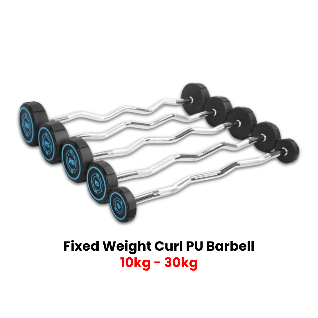 1441 Fitness Fixed Curl PU Barbell Set - 10 Kg to 30 Kg - Bundle Offer