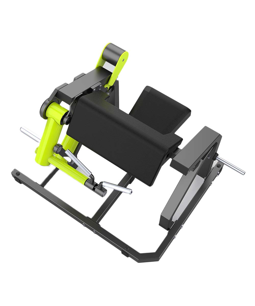 DHZ Fitness Biceps Curl - Y970
