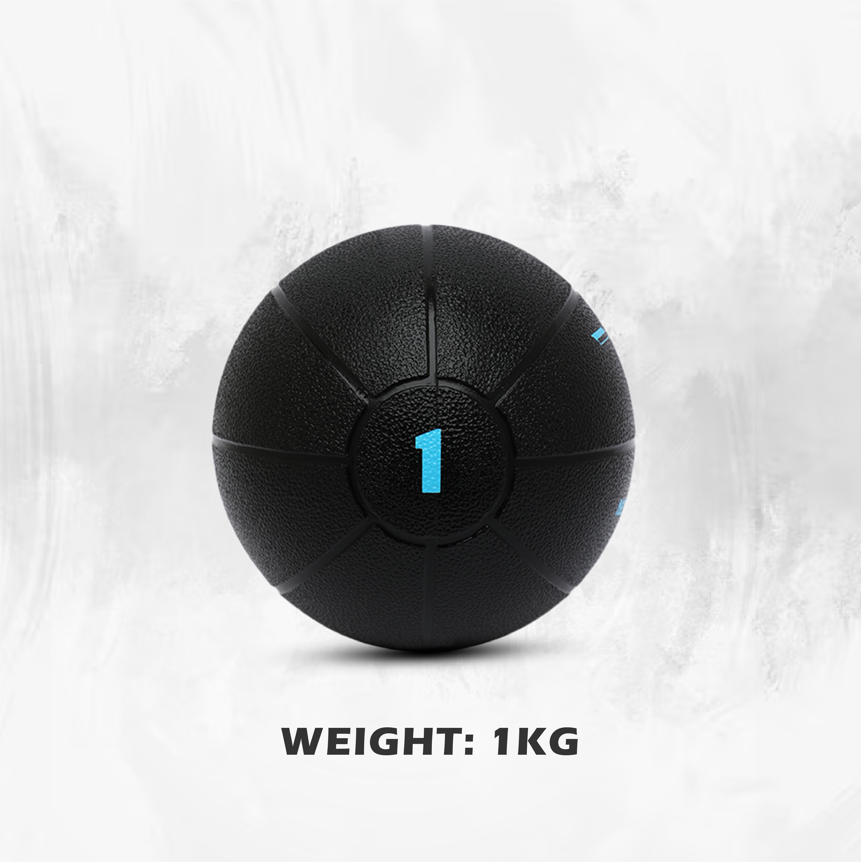 1441 Fitness Medicine Balls 1 to 10 KG
