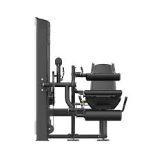 Insight Fitness Leg Curl & Leg Extension - SA031 with white background