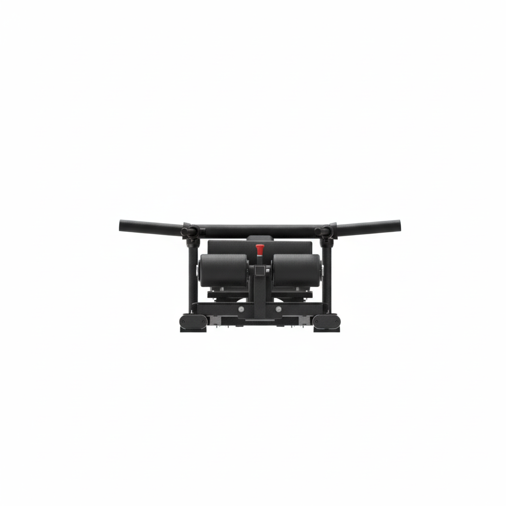 Insight Fitness Lunge - SH023 frame on a white background