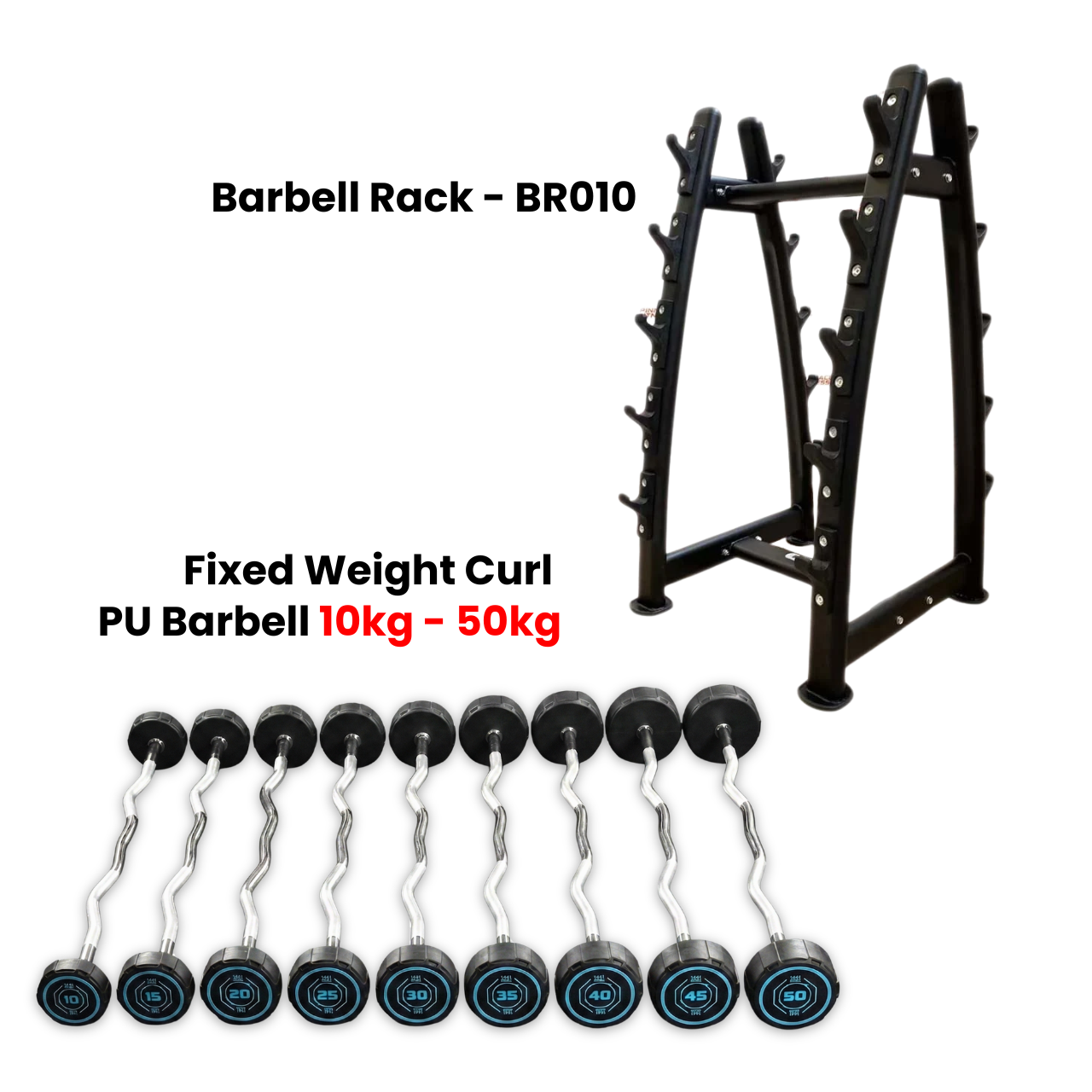 1441 Fitness Fixed Weight Curl PU Barbell Set with Rack - 10 Kg to 50 Kg - Bundle Offer