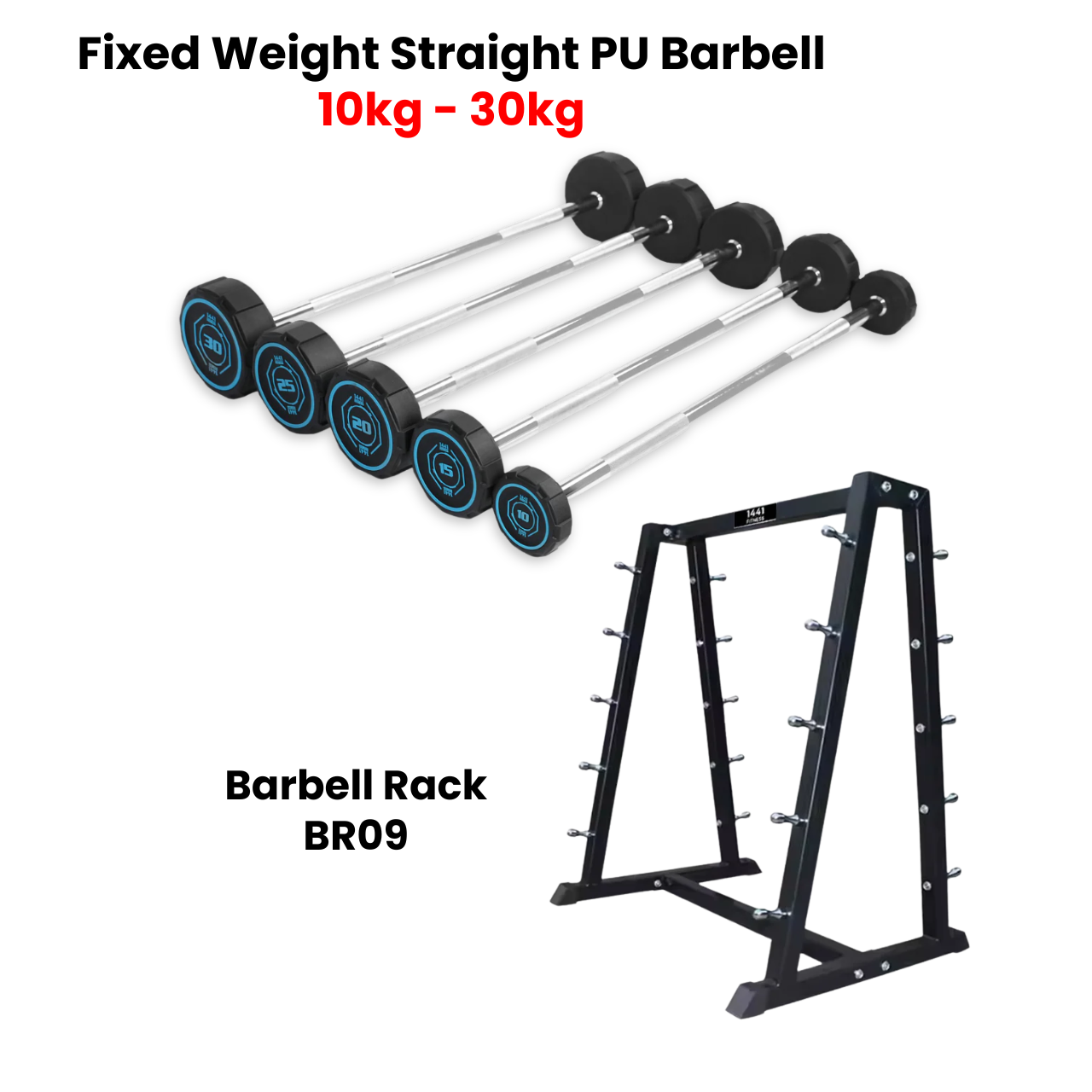 1441 Fitness Fixed Straight PU Barbell Set - 10 Kg to 30 Kg with Rack - Bundle Offer