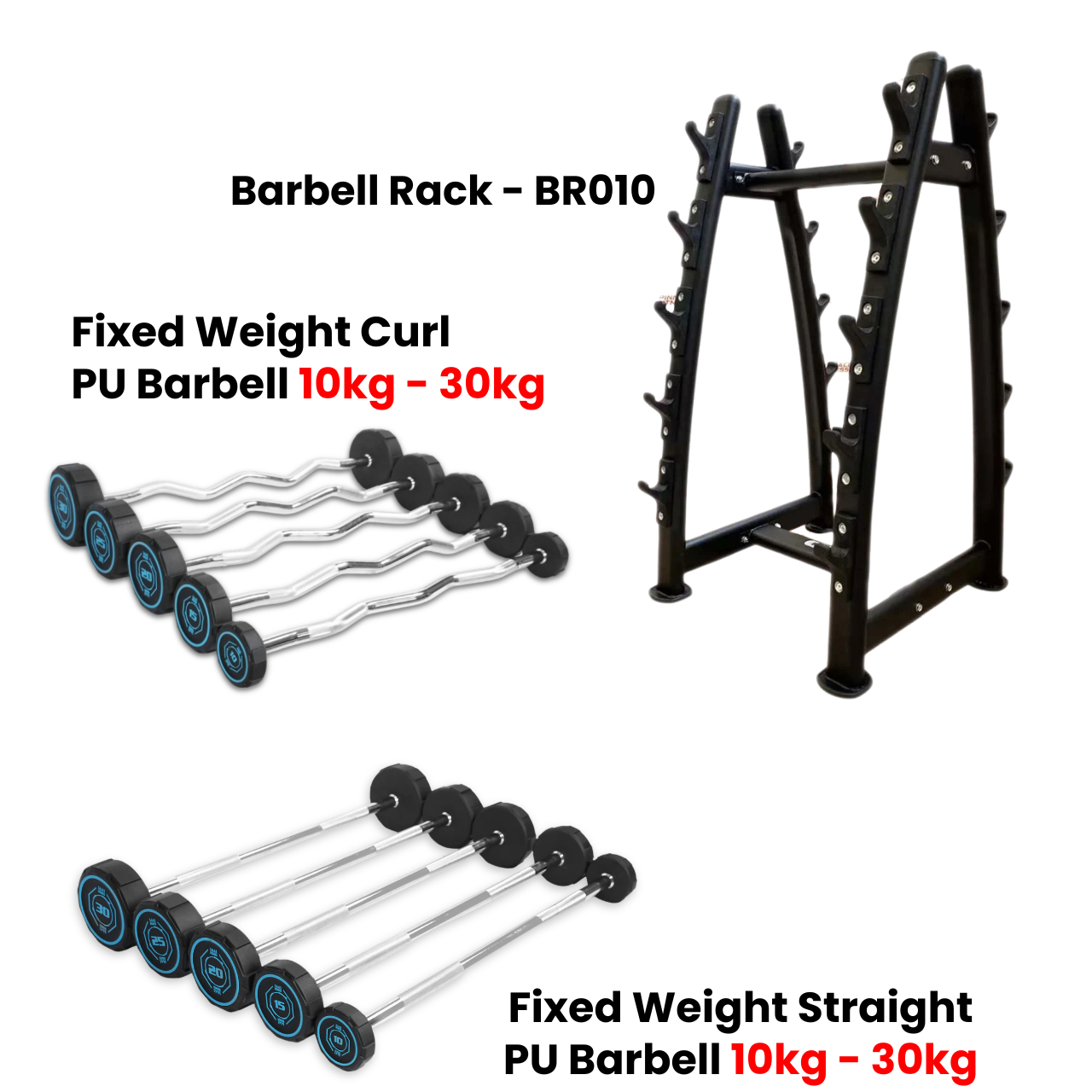 1441 Fitness Fixed Straight & Curl PU Barbell Set with Rack - 10 to 30 kg - Bundle Offer