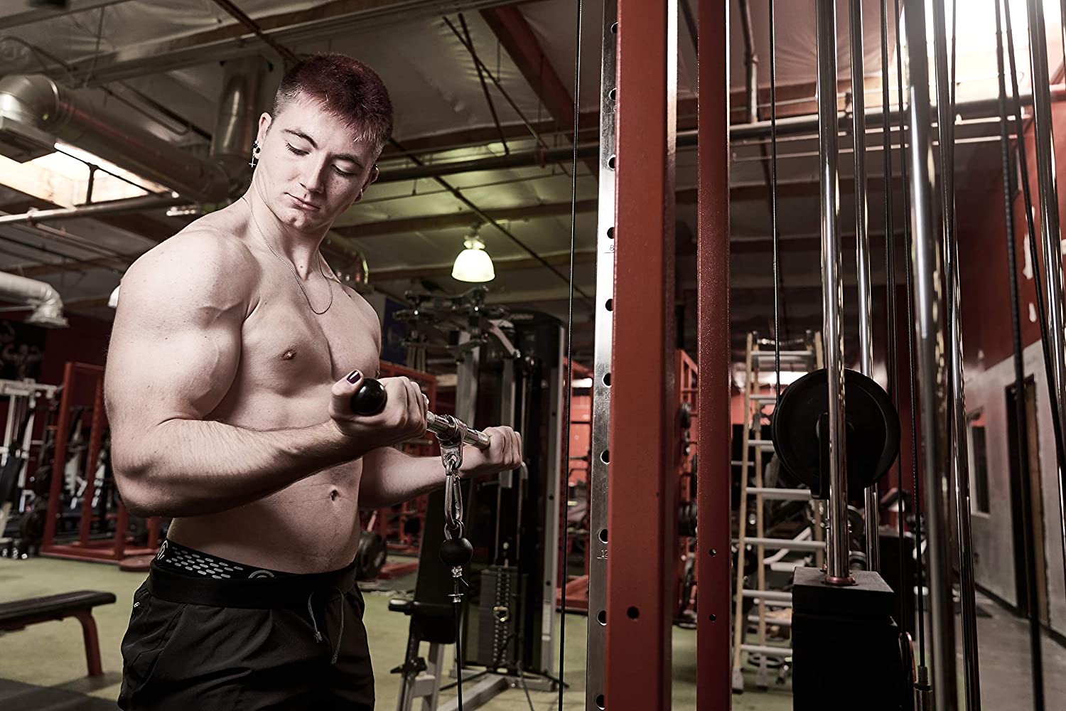 1441 Fitness Lat Attachment Bicep Bar